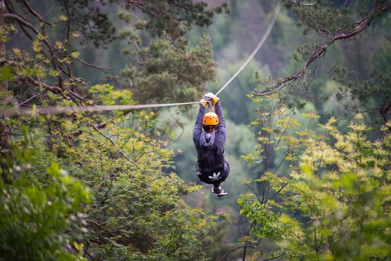 Bled: Zipline Dolinka Exclusive Private Tour - Key Points / Takeaways