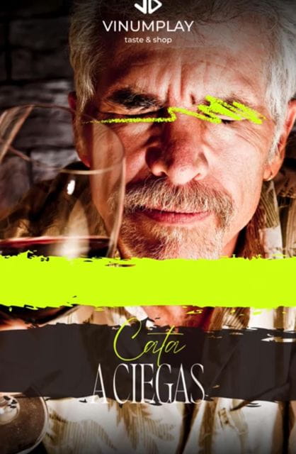 Blind Wine Tasting With Pairing - Tasting and Pairing Process