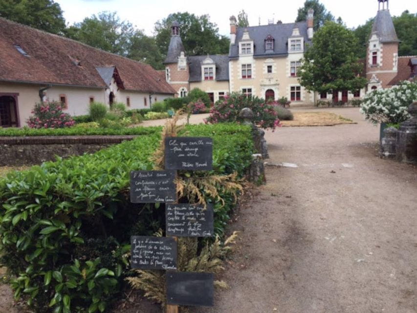 Blois: Exclusive Wine Tasting in Cheverny and Cour Cheverny - Pricing and Availability