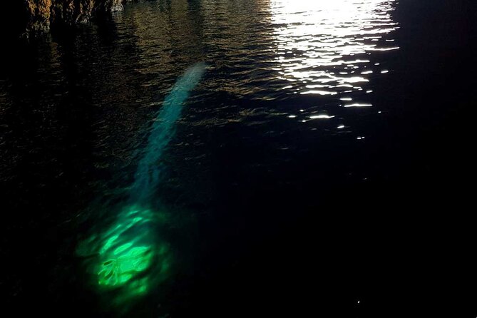 Blue & Green Cave Vis Island and Pakleni Islands Private Day Trip From Hvar - Cancellation Policy