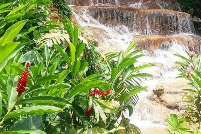 Blue Hole And Konoko Falls Combo Tour From Ocho Rios & Runaway Bay! - Booking and Cancellation