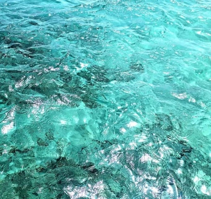 Blue Lagoon: Half-Day Escape - Who This Tour Is Perfect For