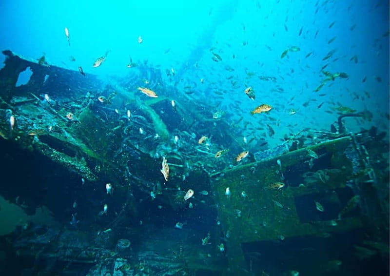 Blue Lagoon Island Bliss: A Full-Day with Lunch - Key points / Takeaways