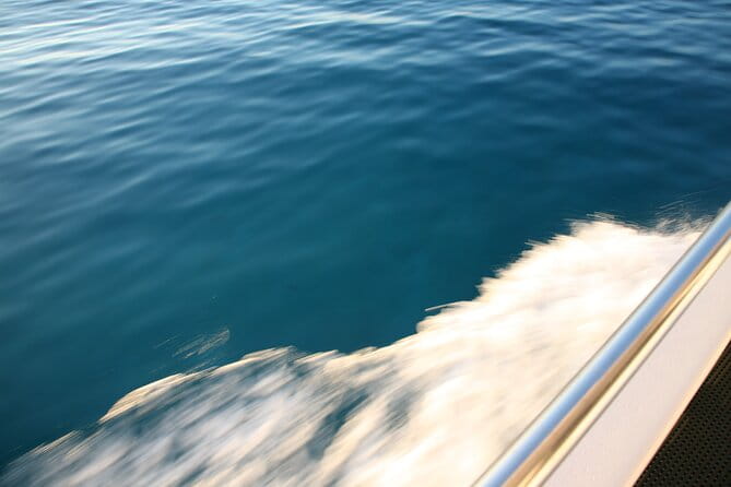 Blue Lagoon Mediterranean One Boat Cruise from Latchi - Additional Information