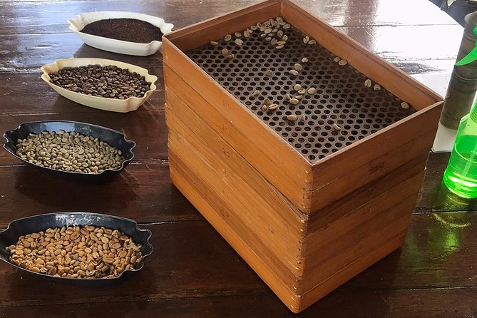 Blue Mountains Coffee Private Tour From Kingston - Inclusions and Accessibility