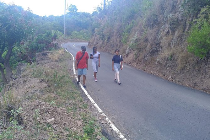 Blue Mountains Coffee Private Tour From Kingston - Coffee Plantation Visit