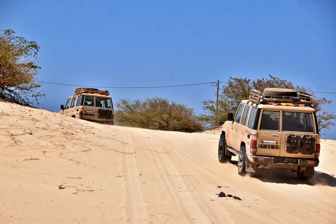 Boa Vista: 4h North Jeep Expedition Off-Road - Accessibility and Restrictions