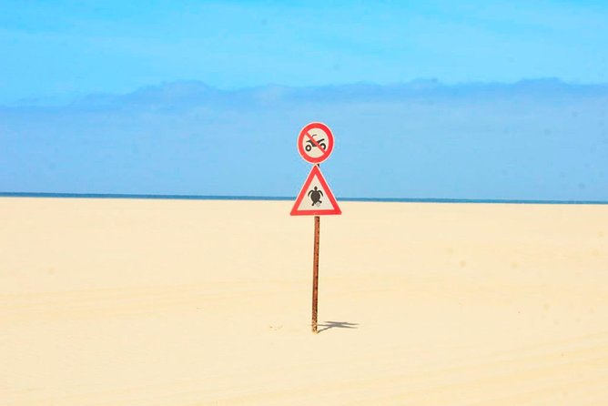 Boa Vista Island: 4-Hour Rabil, Viana Desert & Shipwreck Tour - Shipwreck Visit