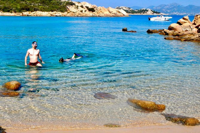 Boat Dolphins Safari and Snorkeling - Who Will Love This Tour?