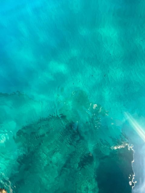 boat excursions in cefalu' - FAQ