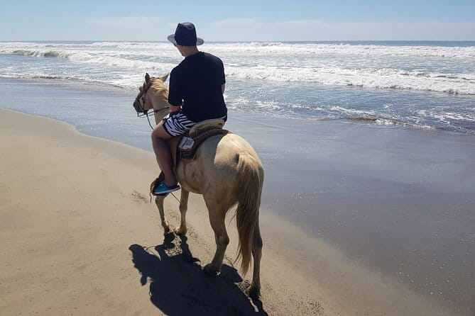 Boat Ride-Gentle Beach Beach Horseback Ride+Lunch-Crocs-Turtles - Introducing the Acapulco Adventure: A Multi-Activity Day Out