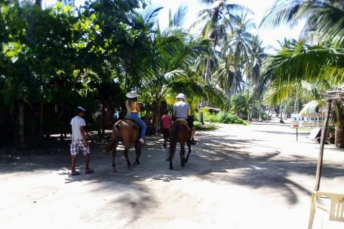 Boat Ride-Gentle Beach Beach Horseback Ride+Lunch-Crocs-Turtles - Logistics and Practicalities: What You Need to Know