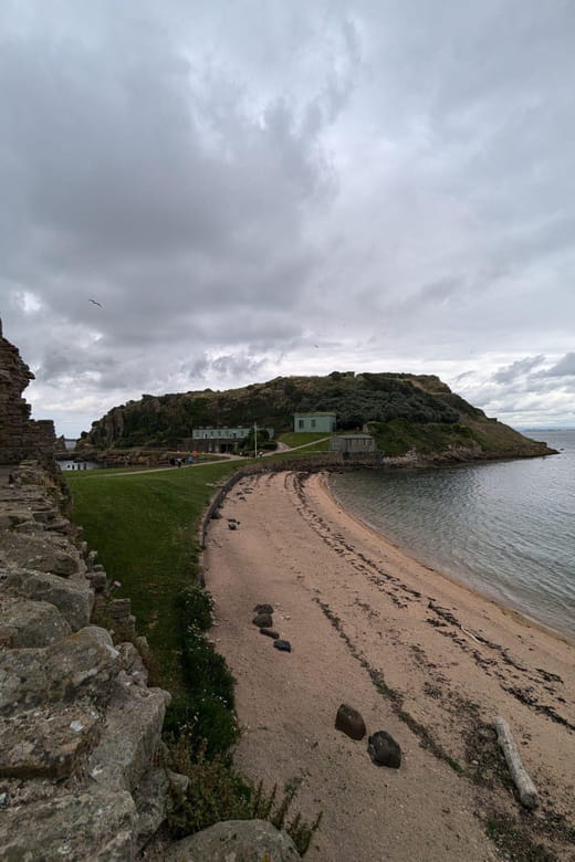 Boat tour and guided tour to Inchcolm Island - The Forth Bridges & Wildlife: An Unmissable Marine Panorama