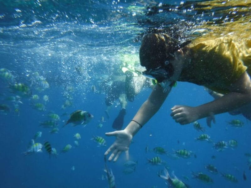 Boat tour from Avola to Portopalo with visit of Marzamemi - Key Points / Takeaways