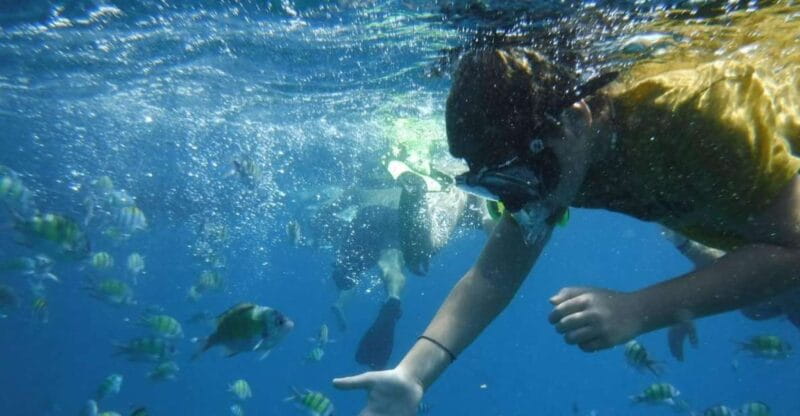 Boat tour from Avola to Portopalo with visit of Marzamemi - Price and Logistics: Is It Worth It?