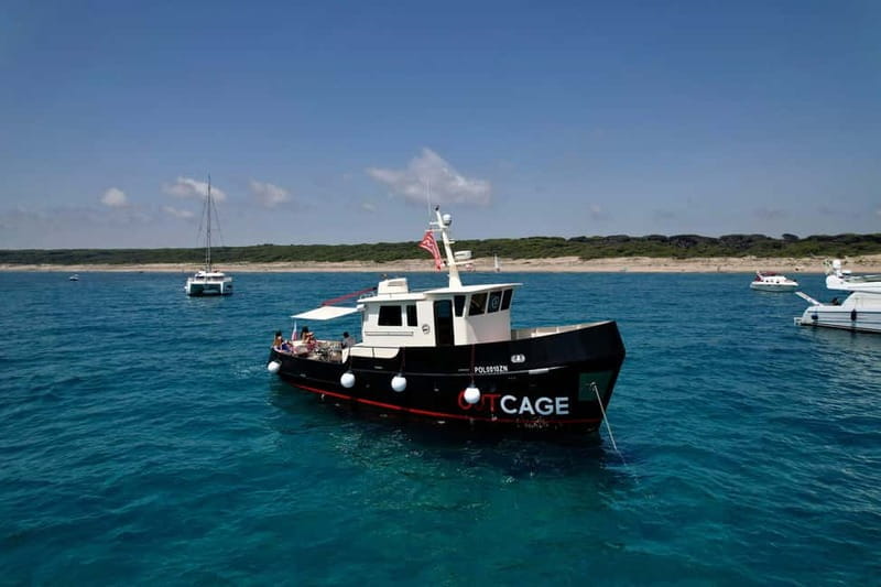 Boat tour Golfo Aranci: Tavolara and Molara Marine Protected Area - FAQ