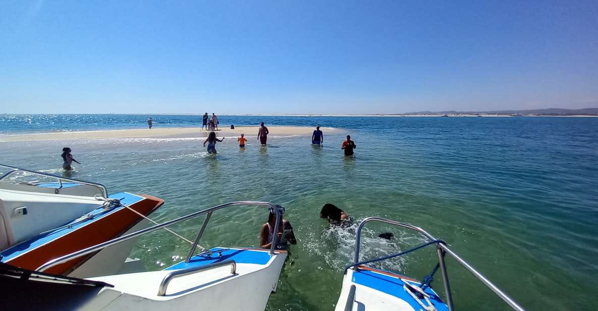 Boat Tour in Ria Formosa 5H - Tour Pricing