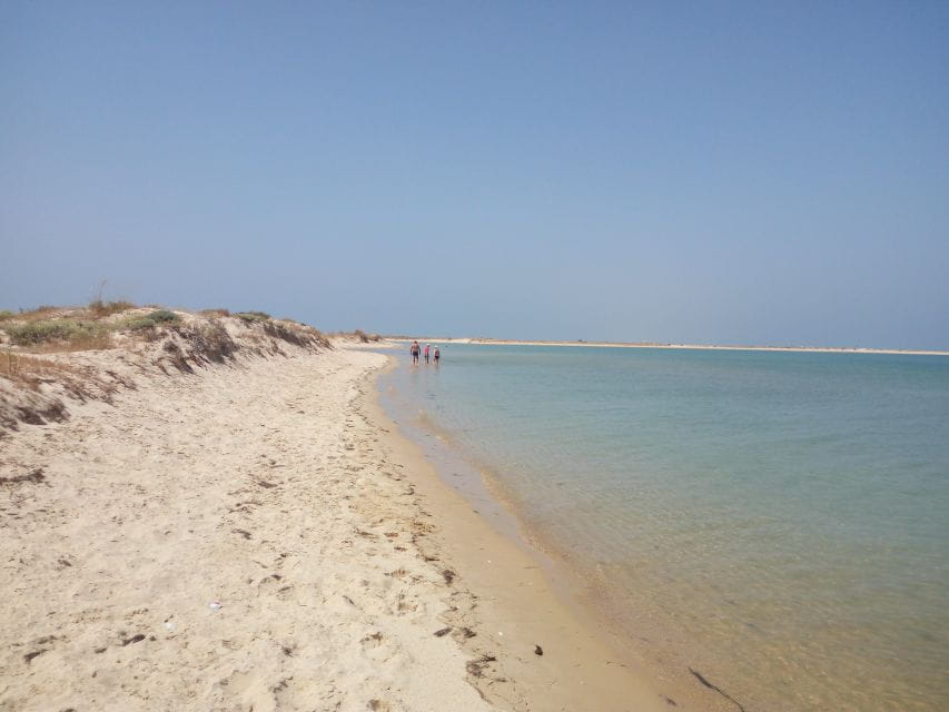 Boat Tour in Ria Formosa 5H - Frequently Asked Questions