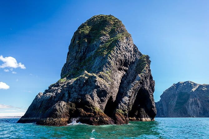 Boat Tour in Vestmannaeyjar - Who Should Book This Tour?