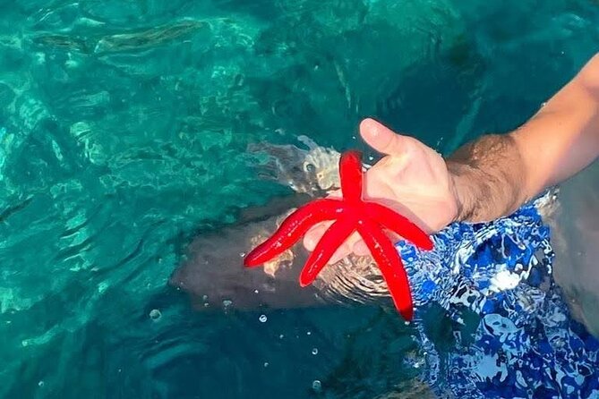 Boat Tour of Giardini Naxos, Taormina, and Isola Bella (Beautiful Island), Including a Visit to the Blue Grotto - Visiting Isola Bella