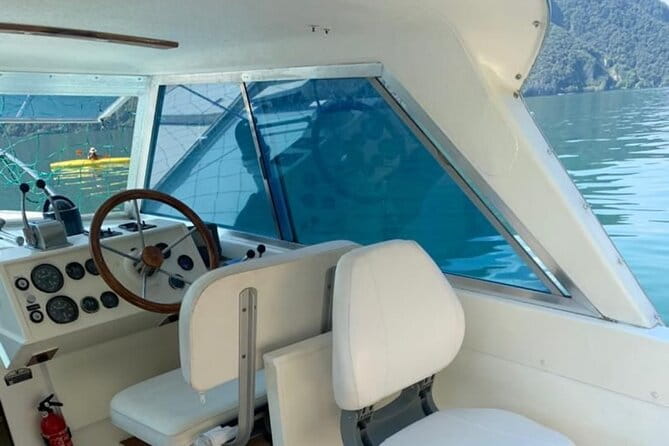 Boat tour on Lake Como 2 hours - Who Should Consider This Experience?