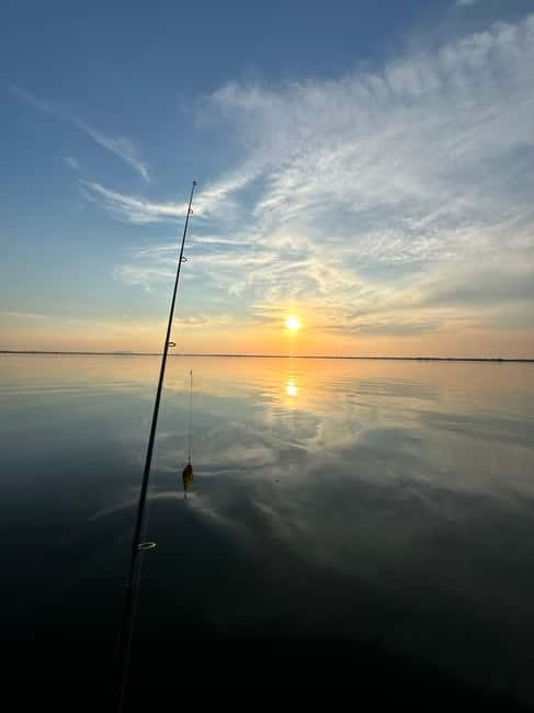 Boat Tour to Letea Forest - Discover the Wild Heart of Romania’s Danube Delta
