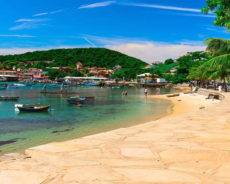 Boat Tours in Búzios - Key Points / Takeaways