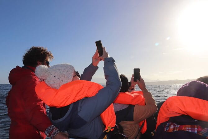 Boat Trip along the North Coast in Capelas - Key points / Takeaways