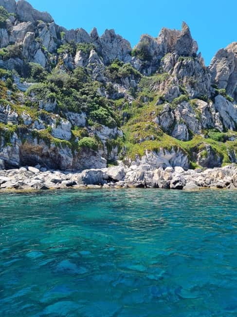 Boat trip around Porquerolles and Giens - Who Is This Tour Best For?