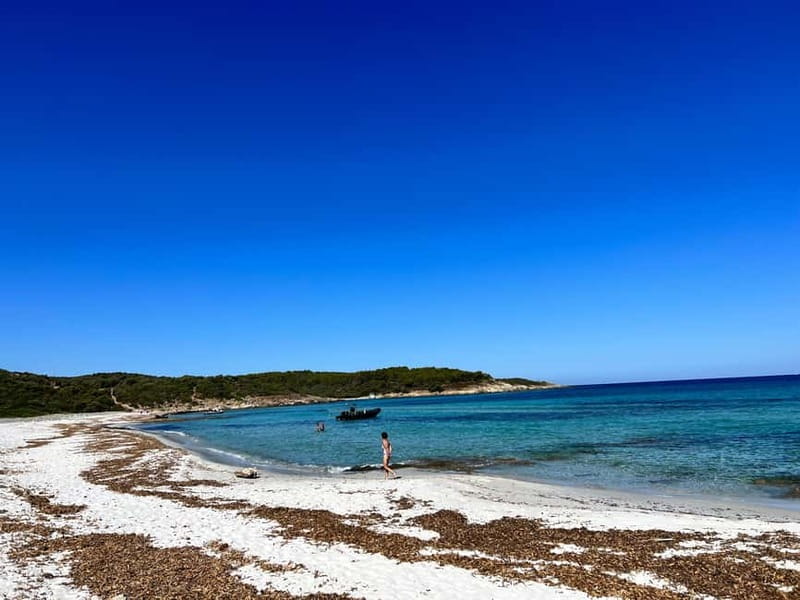 Boat trip from Calvi to the Agriate Desert - Discovering Corsica’s Hidden Coastline: An In-Depth Review