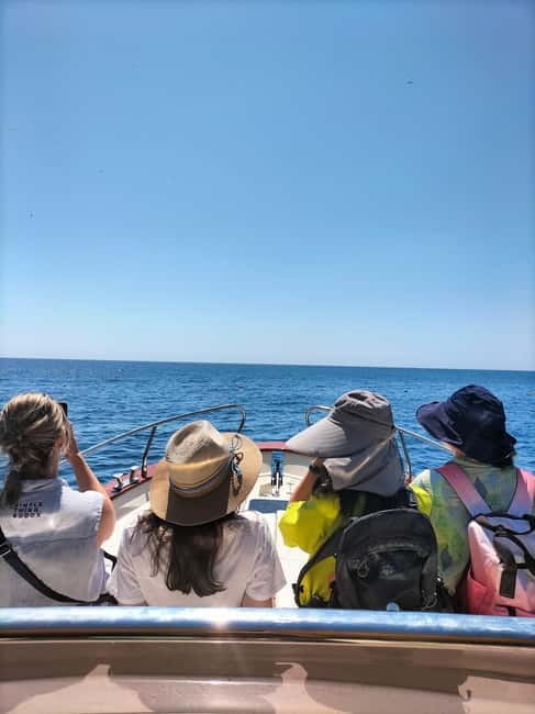 Boat trip from Castro to Malepasso - An In-Depth Look at the Boat Trip from Castro to Malepasso