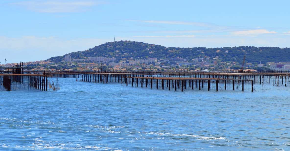 Boat Trip in the Canals Is on the Thau Pond - Key Points