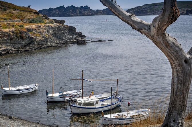 Boat Trip to Cap De Creus + Port Lligat + Cadaqués - Cancellation and Refund Policy