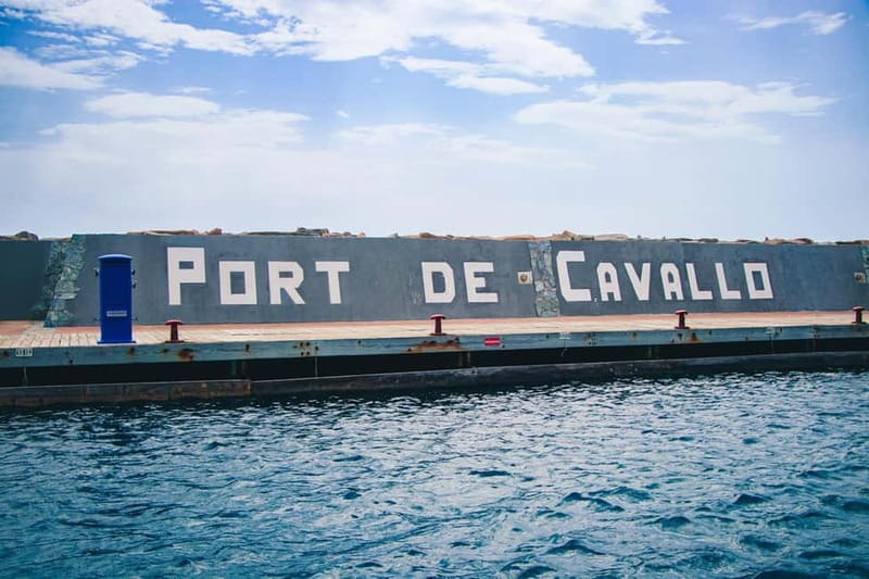 Boat trip to the Corsican archipelago - A Deep Dive into the Experience