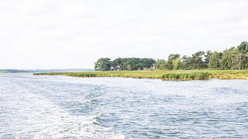 Boat trip to the Hanseatic city of Stralsund from Zingst - Exploring the Journey from Zingst to Stralsund: What to Expect