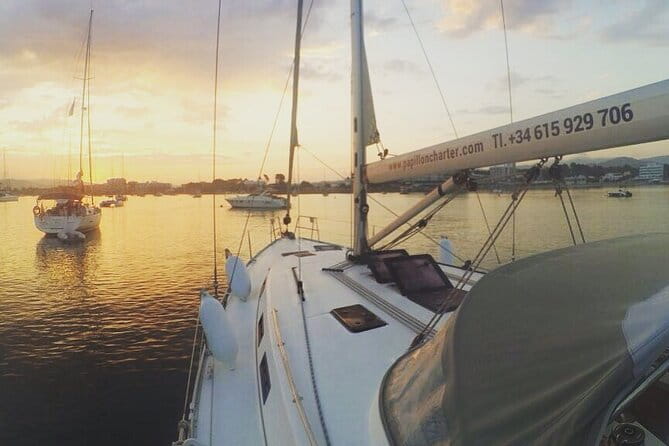 Boat trip Valencia - Final Thoughts