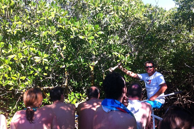 Boat Trip Visit Mangroves, Islets and Lagoon - Group Size and Capacity