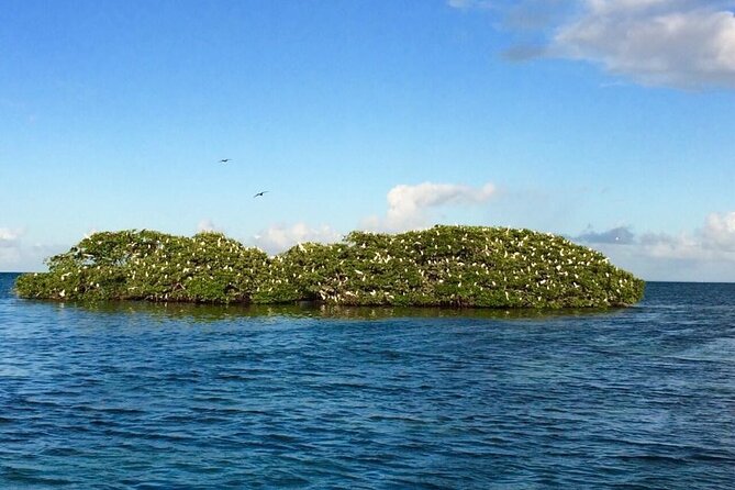 Boat Trip Visit Mangroves, Islets and Lagoon - Cancellation and Refund Policy