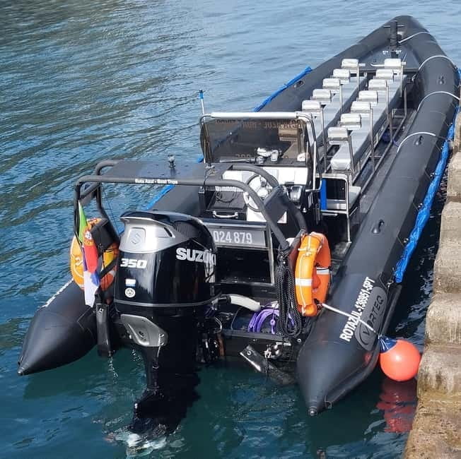 Boat trips to Corvo Island - Who This Trip Is Perfect For