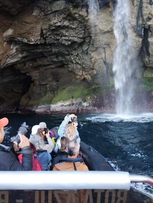 Boat trips to Corvo Island - Price and Value