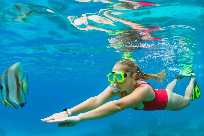 Boatride/Snorkeling and Local Food Hunt in Montego Bay Activity - Participant Information