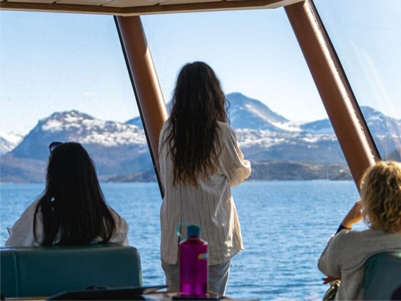 Bodø: Beiar Fjord & Saltstraument Cruise - FAQ