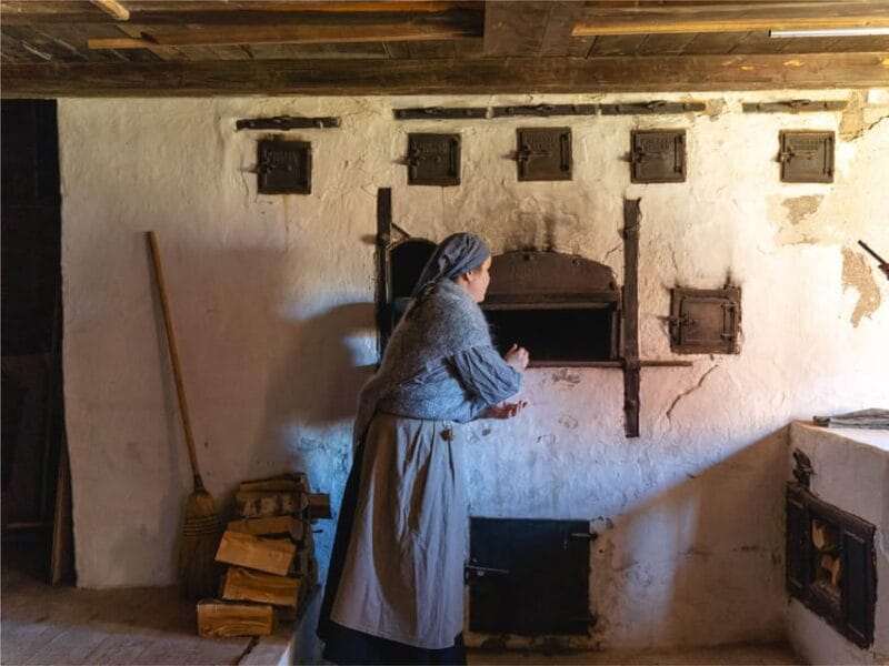 Bodø: Kjerringøy & Silent Coastal Cruise - Key Points / Takeaways