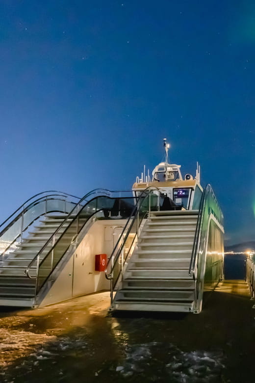 Bodø: Northern Lights Cruise - Navigating the Arctic Night: What the Cruise Looks Like