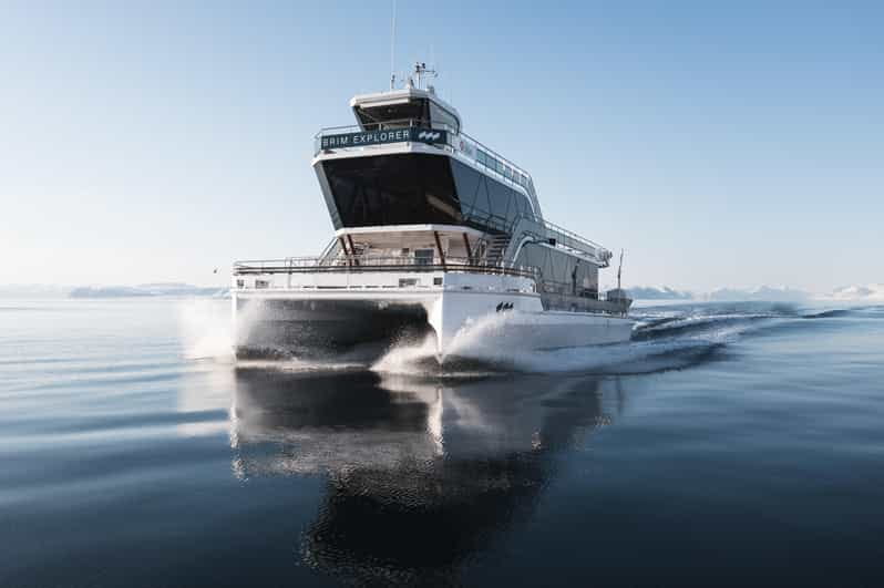 Bodø: Northern Lights Cruise - FAQ: Your Quick Guide to the Bodø Northern Lights Cruise