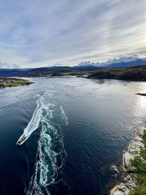 Bodø: Saltstraumen RIB Safari - Key Points & Takeaways