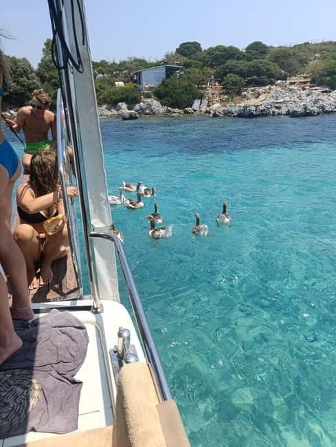 Bodrum boat trip starting from Gümbet beach - Key Points / Takeaways