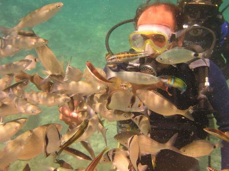 Bodrum diving day for advanced and beginner divers - Exploring Bodrum’s Underwater Charm: A Dive Tour for All Levels