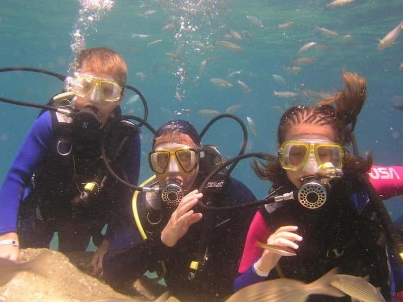 Bodrum diving day for advanced and beginner divers - Key Points & Takeaways
