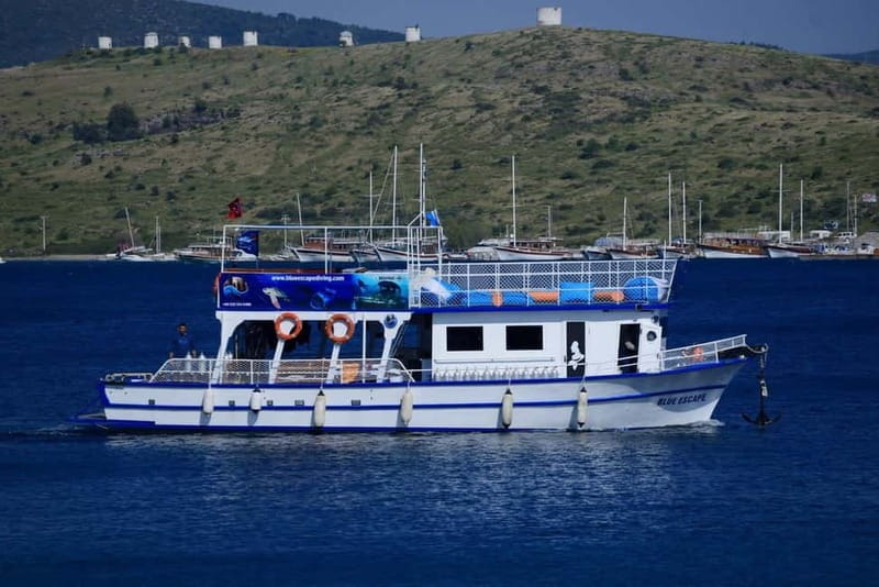 Bodrum diving day for advanced and beginner divers - Who Should Consider This Experience?